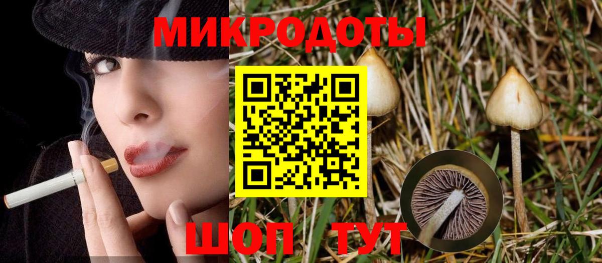 Орехово-Зуево  наркота  Вход с VPN  Галлюциногенные грибы Cubensis 
